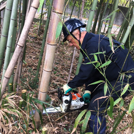 竹林伐採・間伐